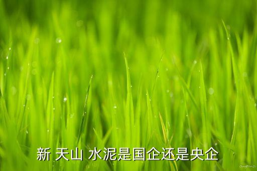 中建材收購(gòu)江蘇天山水泥有限公司