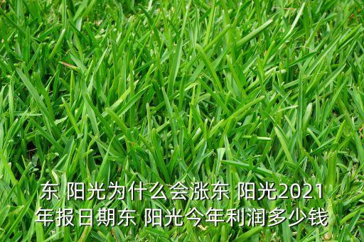 東 陽(yáng)光為什么會(huì)漲東 陽(yáng)光2021年報(bào)日期東 陽(yáng)光今年利潤(rùn)多少錢