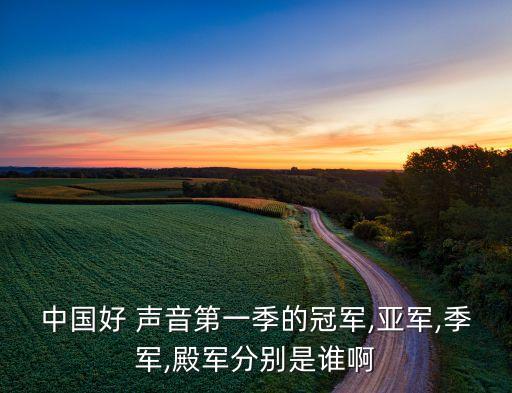 中國好 聲音第一季的冠軍,亞軍,季軍,殿軍分別是誰啊