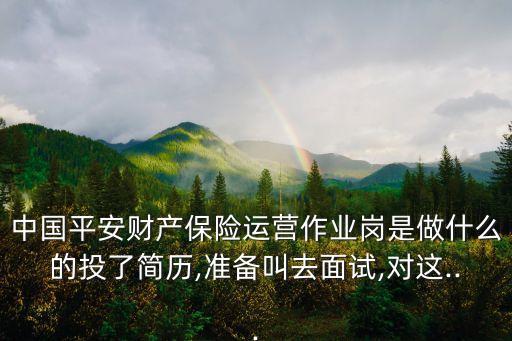 中國平安財產(chǎn)保險運營作業(yè)崗是做什么的投了簡歷,準(zhǔn)備叫去面試,對這...