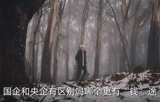 國(guó)企和央企有區(qū)別嗎哪個(gè)更有“錢(qián)”途