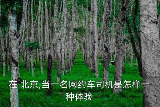 在 北京,當(dāng)一名網(wǎng)約車司機是怎樣一種體驗