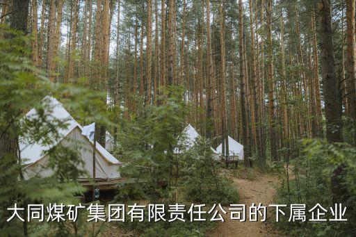國(guó)投中煤同煤京唐港口有限公司招聘