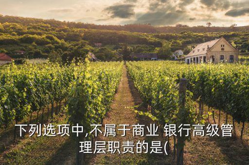 下列選項中,不屬于商業(yè) 銀行高級管理層職責(zé)的是(