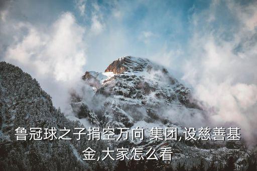 魯冠球之子捐空萬(wàn)向 集團(tuán),設(shè)慈善基金,大家怎么看