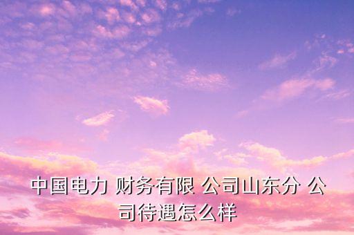 中國電科財(cái)務(wù)公司