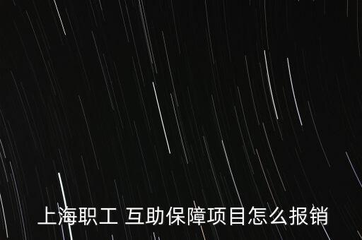  上海職工 互助保障項目怎么報銷