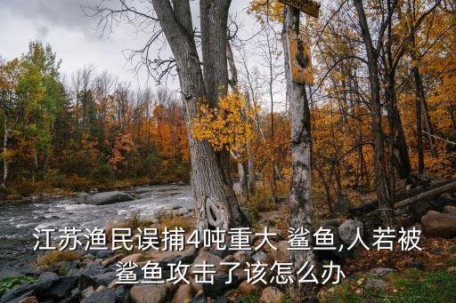 中國捕殺鯊魚,捕殺鯊魚犯法嗎