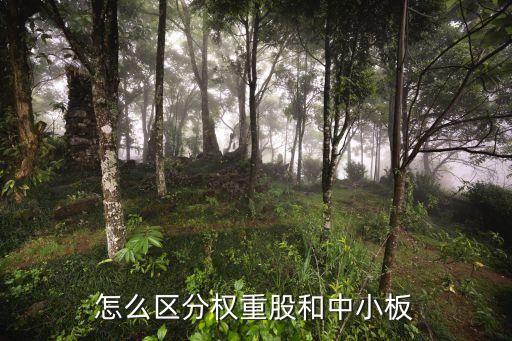 怎么區(qū)分權重股和中小板
