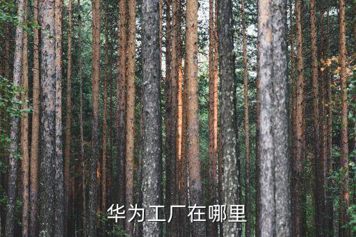 中國華為公司