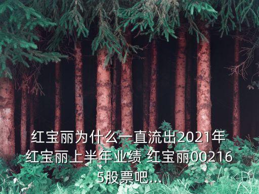 紅寶麗集團(tuán)董事長,高淳紅寶麗集團(tuán)董事長
