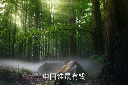 中國(guó)誰最有錢