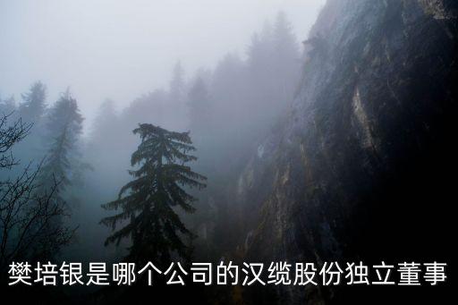 樊培銀是哪個公司的漢纜股份獨立董事