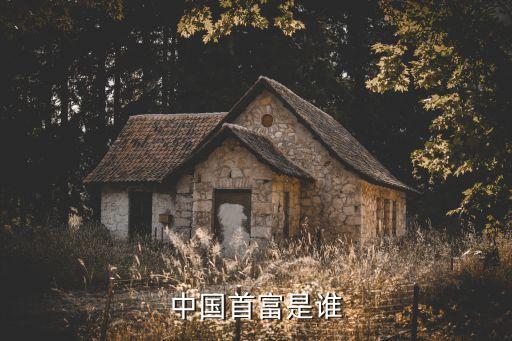 2004中國經(jīng)濟(jì)年度人物,俞敏洪當(dāng)選中國經(jīng)濟(jì)年度人物