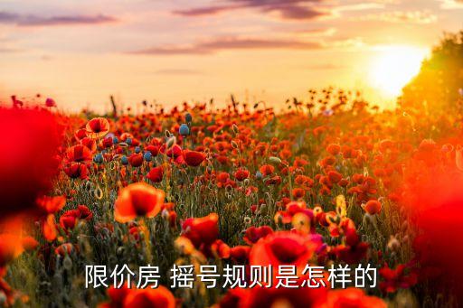 限價房 搖號規(guī)則是怎樣的
