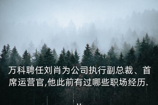  萬科聘任劉肖為公司執(zhí)行副總裁、首席運(yùn)營官,他此前有過哪些職場經(jīng)歷...