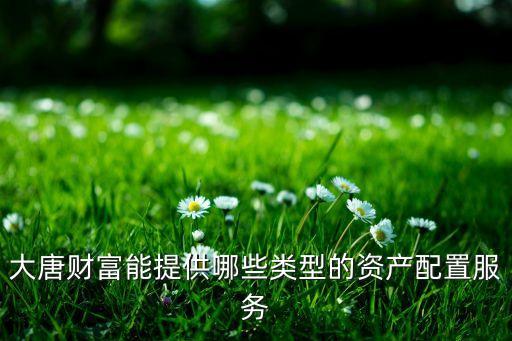大唐財富能提供哪些類型的資產(chǎn)配置服務(wù)
