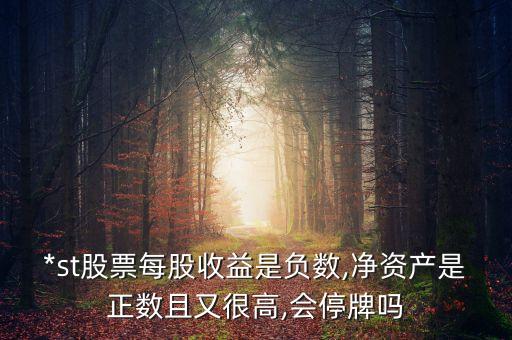 *st股票每股收益是負數,凈資產是正數且又很高,會停牌嗎