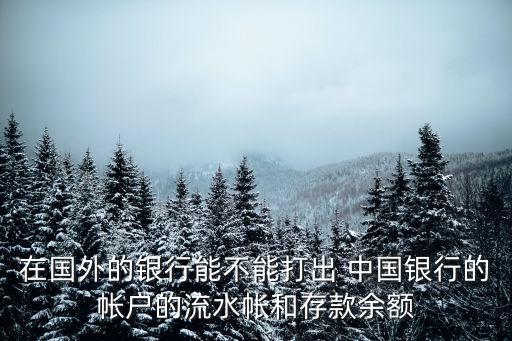 在國(guó)外的銀行能不能打出 中國(guó)銀行的帳戶(hù)的流水帳和存款余額