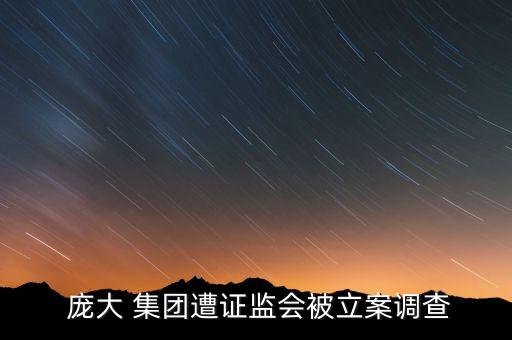  龐大 集團遭證監(jiān)會被立案調查