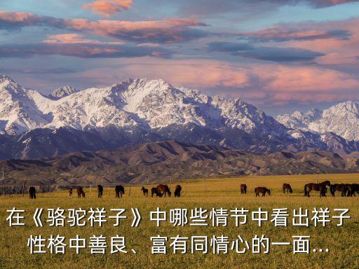 在《駱駝祥子》中哪些情節(jié)中看出祥子性格中善良、富有同情心的一面...