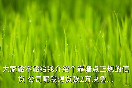 大家能不能給我介紹個靠譜點(diǎn)正規(guī)的信貸 公司呢我想貸款2萬塊急...