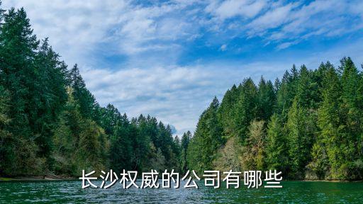 長沙權威的公司有哪些