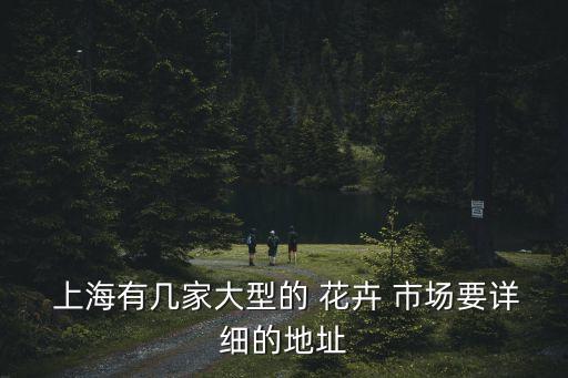 上海大龍花卉市場(chǎng),上?；ɑ苁袌?chǎng)一覽表