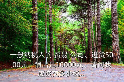 一般納稅人的 貿(mào)易 公司、進貨5000元、銷出是10000元、請問我應(yīng)該交多少稅...