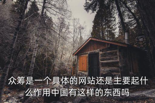  眾籌是一個(gè)具體的網(wǎng)站還是主要起什么作用中國有這樣的東西嗎
