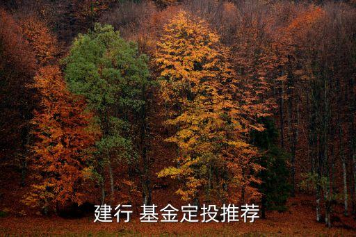 建設銀行可以買哪些基金,在建設銀行買基金有的沒有