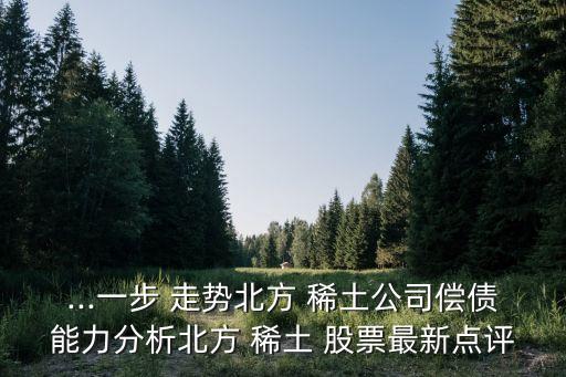 ...一步 走勢(shì)北方 稀土公司償債能力分析北方 稀土 股票最新點(diǎn)評(píng)
