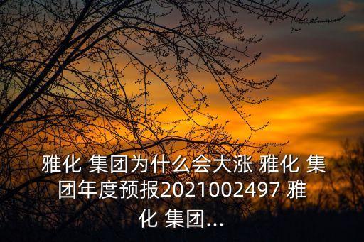  雅化 集團(tuán)為什么會大漲 雅化 集團(tuán)年度預(yù)報(bào)2021002497 雅化 集團(tuán)...