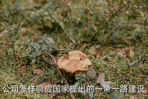 公司怎樣響應(yīng)國(guó)家提出的一帶一路建設(shè)