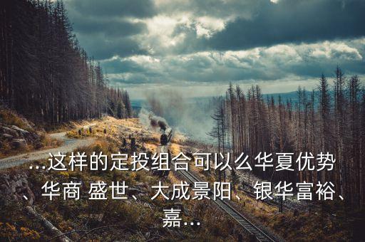 ...這樣的定投組合可以么華夏優(yōu)勢、華商 盛世、大成景陽、銀華富裕、嘉...