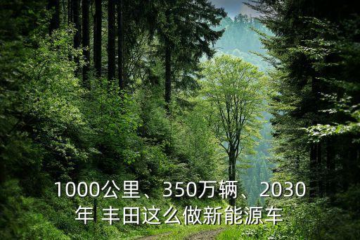 1000公里、350萬輛、2030年 豐田這么做新能源車