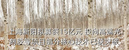 上海新陽擬募資15億元 投向高端光刻膠等項目部分核心技術已獲突破