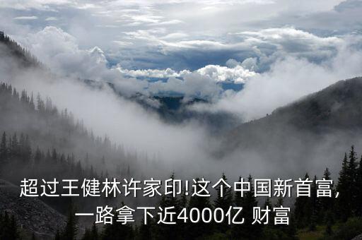 超過(guò)王健林許家印!這個(gè)中國(guó)新首富, 一路拿下近4000億 財(cái)富