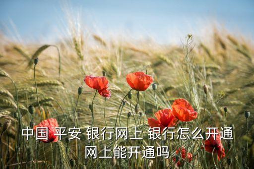 中國 平安 銀行網上 銀行怎么開通網上能開通嗎