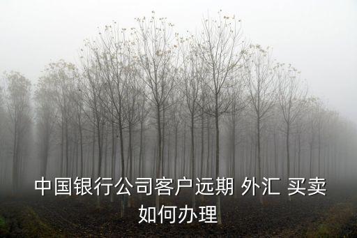  中國(guó)銀行公司客戶(hù)遠(yuǎn)期 外匯 買(mǎi)賣(mài)如何辦理