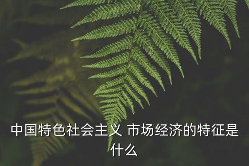 中國市場經(jīng)濟(jì)報(bào)告,中國什么時(shí)候開始市場經(jīng)濟(jì)