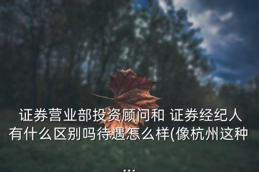  證券營業(yè)部投資顧問和 證券經(jīng)紀(jì)人有什么區(qū)別嗎待遇怎么樣(像杭州這種...