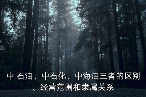 大中石油集團,中石油集團官方網站