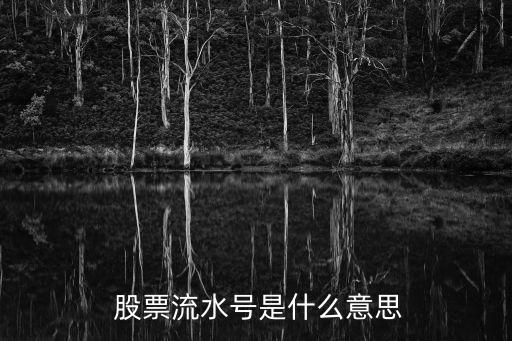  股票流水號(hào)是什么意思