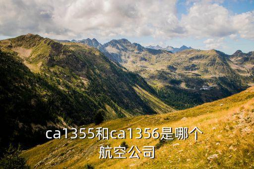 ca1355和ca1356是哪個(gè) 航空公司