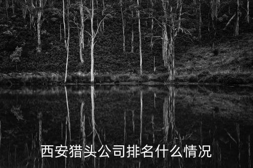 豐春金融信息服務(wù)有限公司,金融發(fā)展服務(wù)有限公司