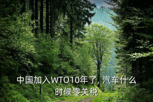 中國世貿(mào)保護(hù)期汽車,世貿(mào)20年保護(hù)期
