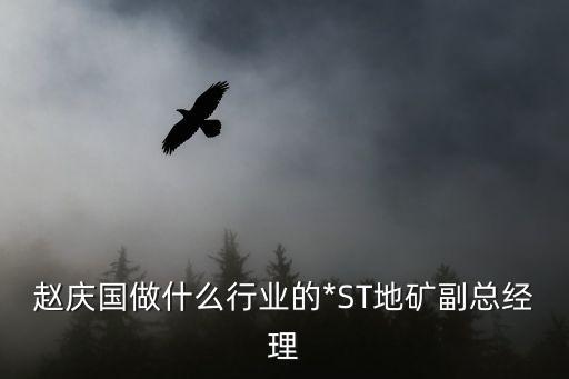 趙慶國做什么行業(yè)的*ST地礦副總經理