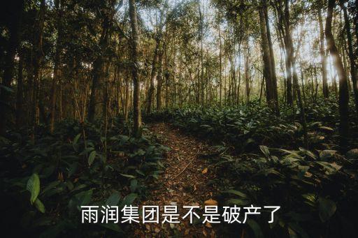  雨潤集團是不是破產(chǎn)了