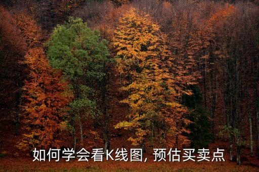 如何學(xué)會看K線圖, 預(yù)估買賣點(diǎn)
